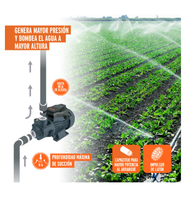 Bomba Eléctrica Periférica Para Agua Truper 1/2 Hp Periférica 127 V 60 Hz Boap-1/2a2 Color Negro